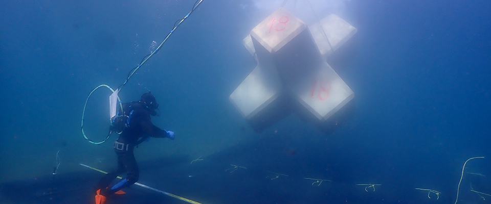 港湾、河川工事